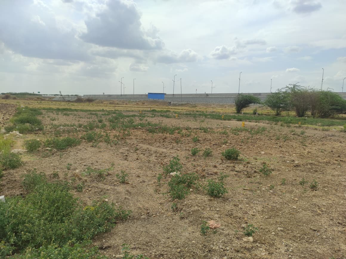 Deva Nagar Plot