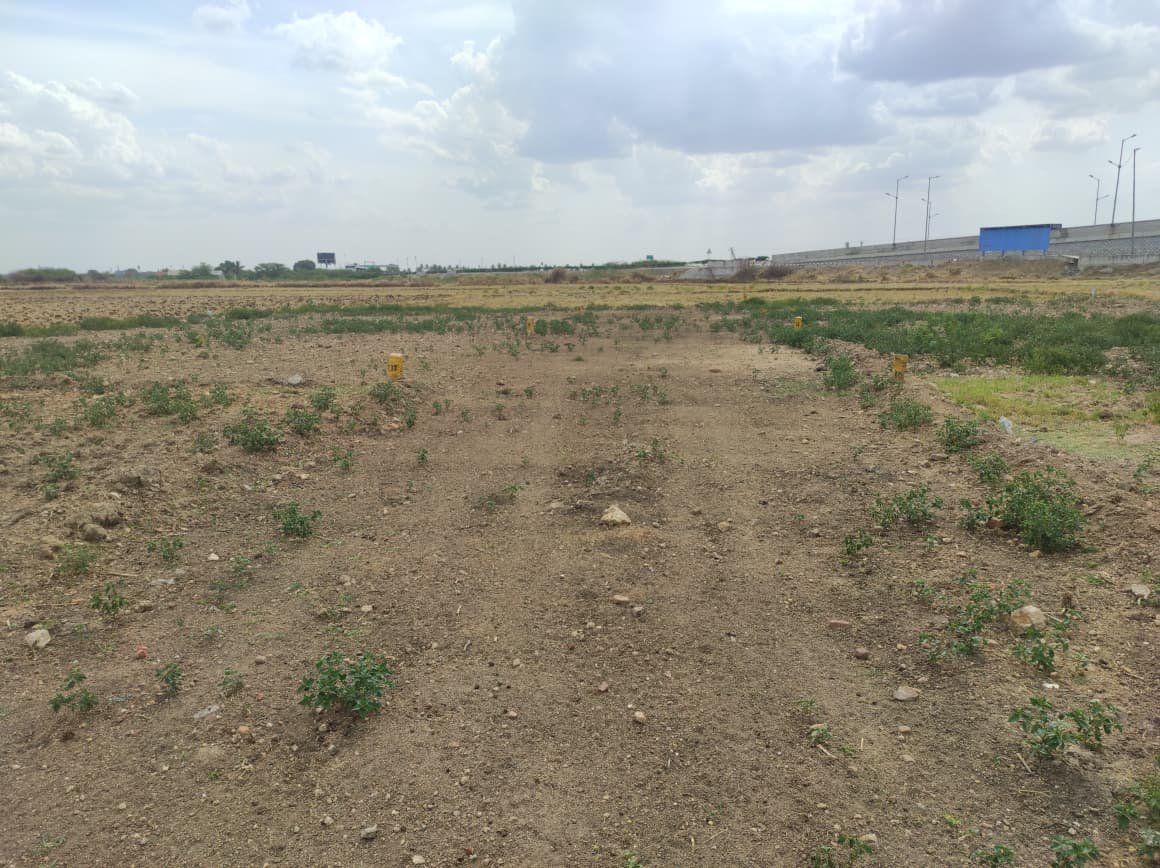 Deva Nagar Plot
